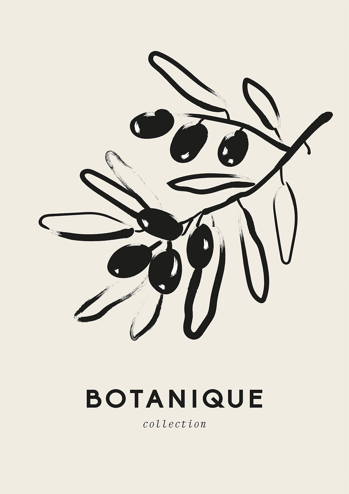 Bold Botanics