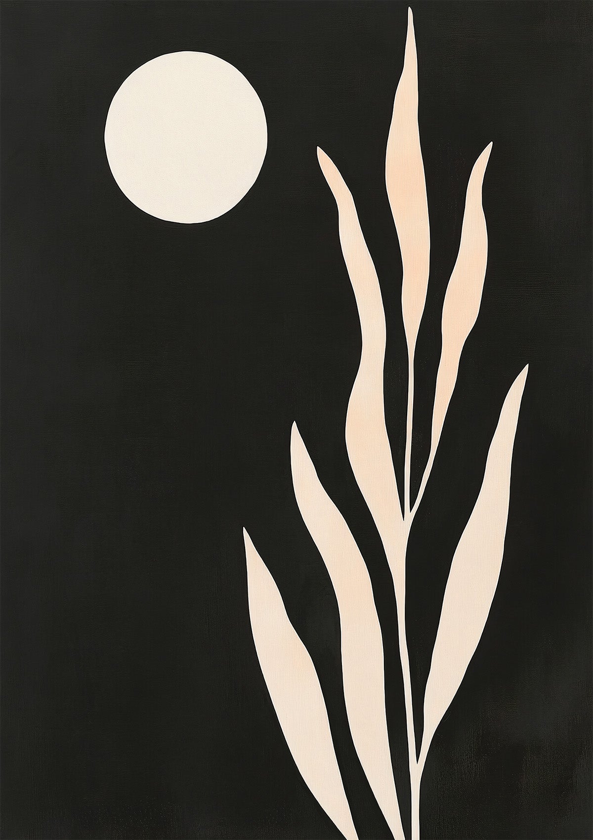 Moonlit Bloom - Noir