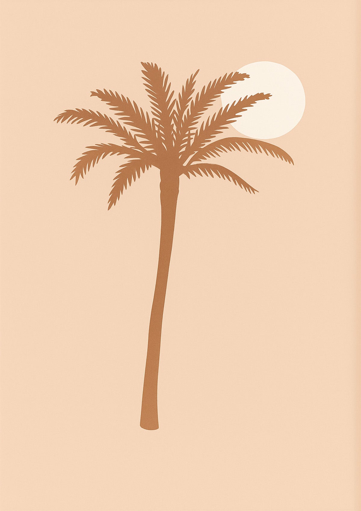 Desert Palm