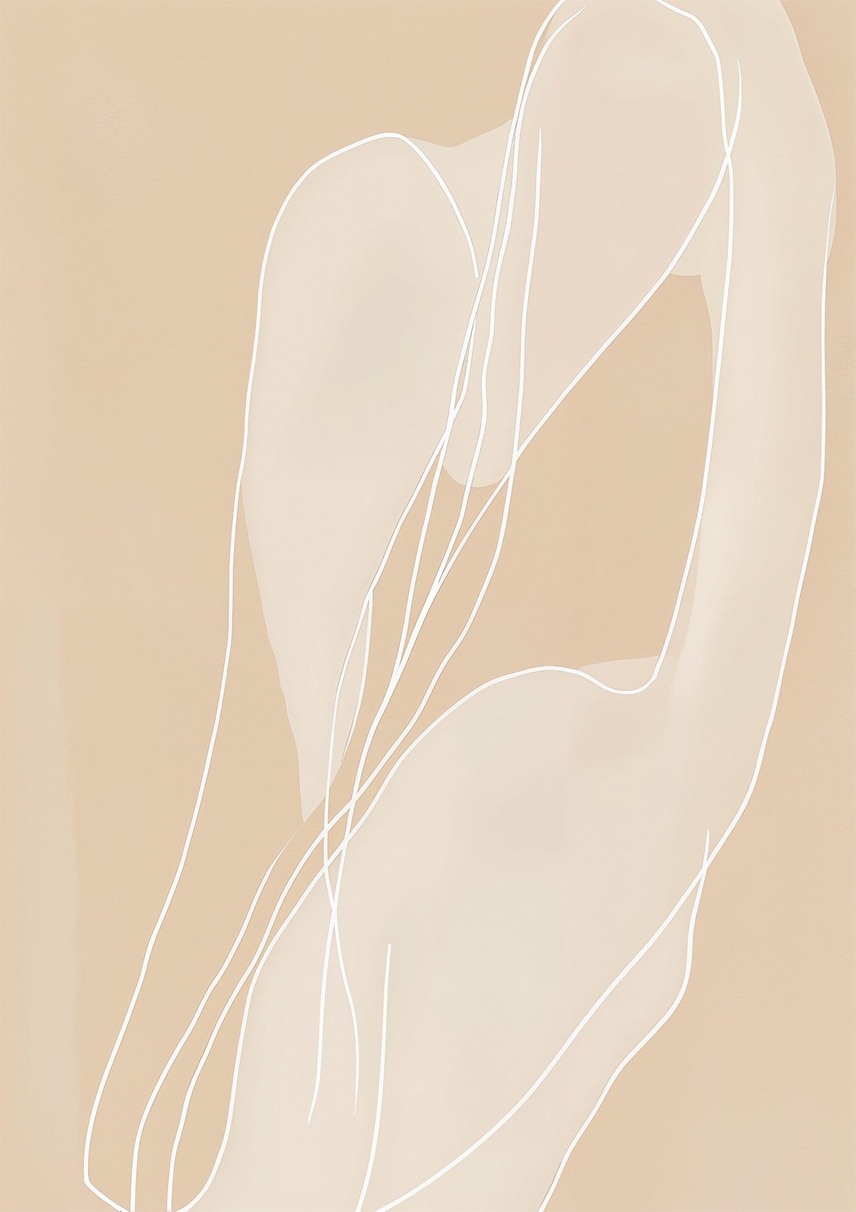 Soft Contours Embrace