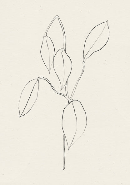 Whispering Leaf