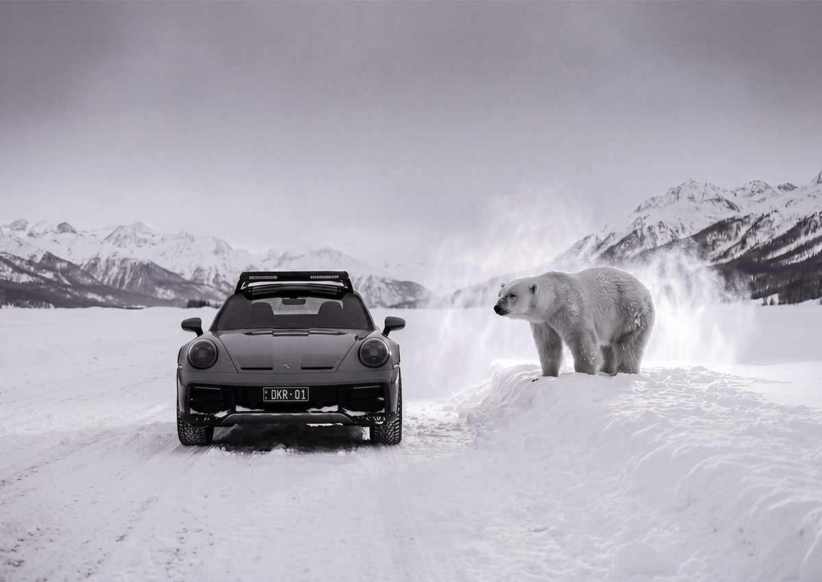 Arctic Authority