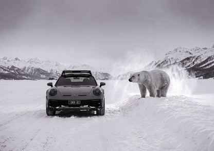 Arctic Authority