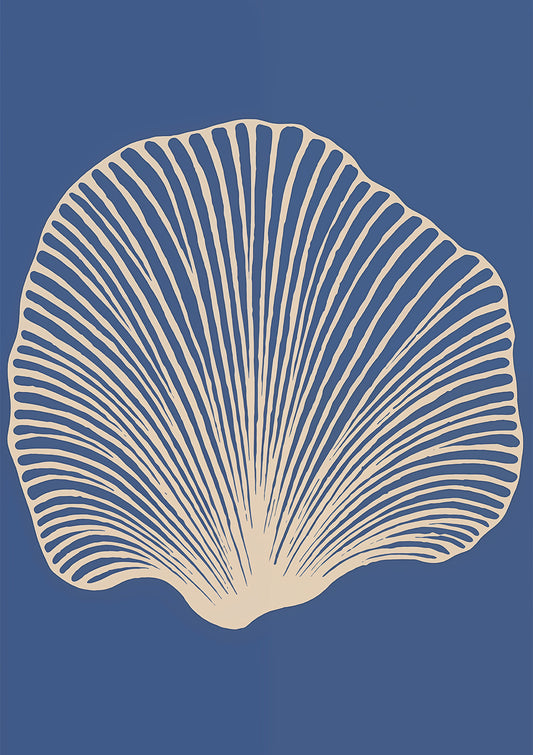 Coastal Echo