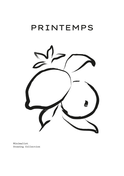 Citrus Lines